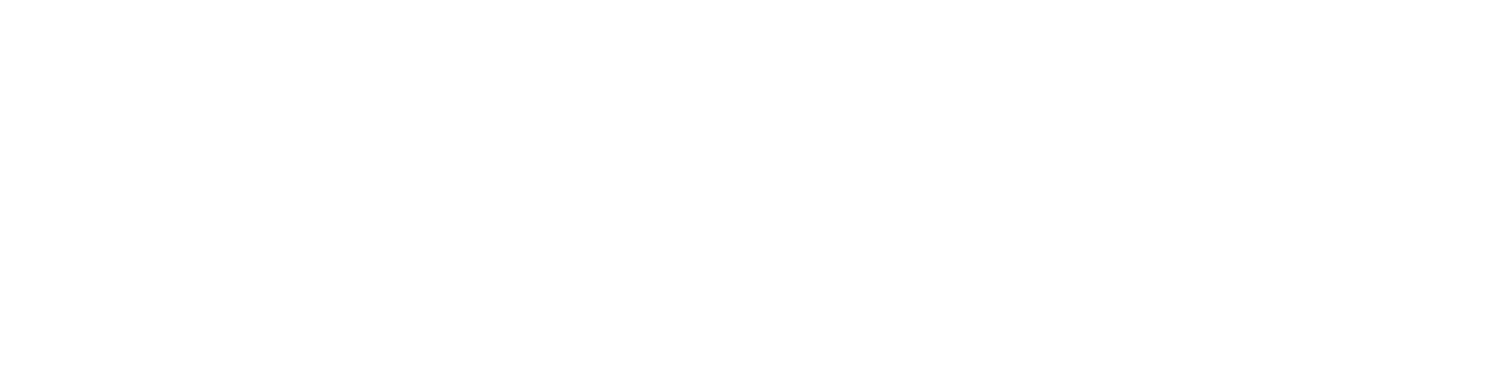 DIANIK BROSS SHIPPING CORPORATION S.A.